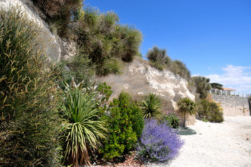Vue sentier de la côte de Beauté