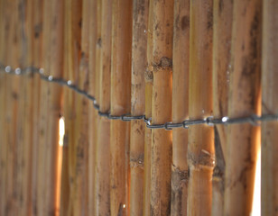 Bamboo fence