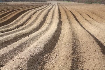 Ploughed field with wave-like forms
