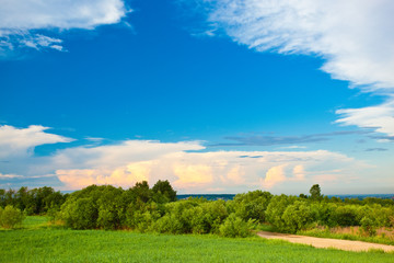 Obraz premium summer ladscape