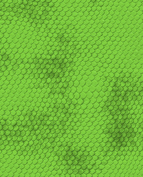snake skin