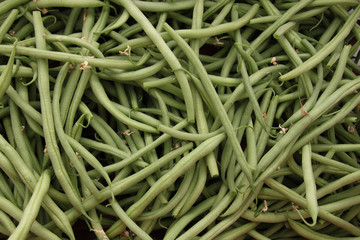 Haricots