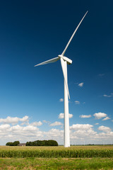 Wind turbines in agriculture landscape