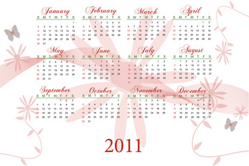 Fototapeta na wymiar 2011 Calendar