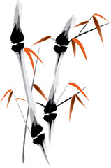 bamboo. vector illustration