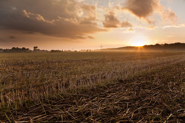 Feld Sonnenuntergang