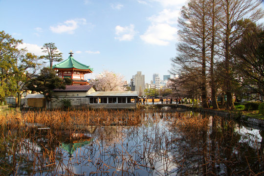 temple devant un lac japonais