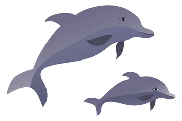 Papier Peint photo Lavable Dauphins Paire de dauphins