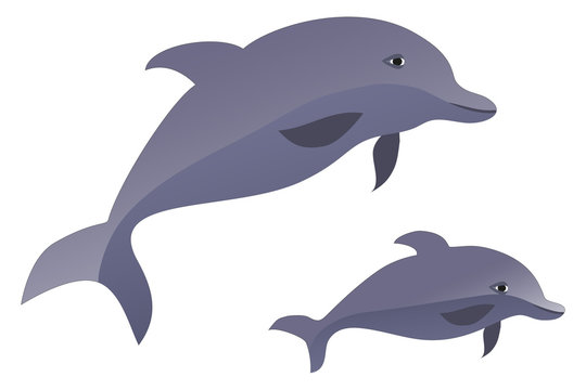 Pair Dolphins