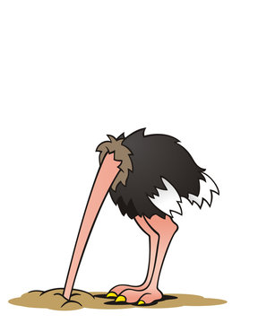 Ostrich Headless Policy