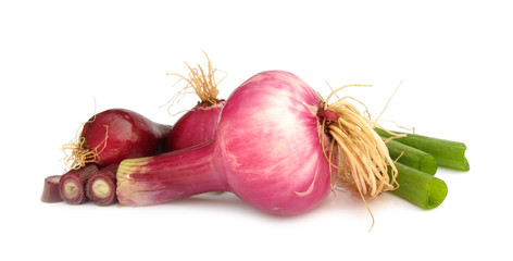 Scallion purple spring onion