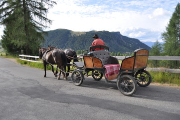carrozza all'Alpe di Siusi
