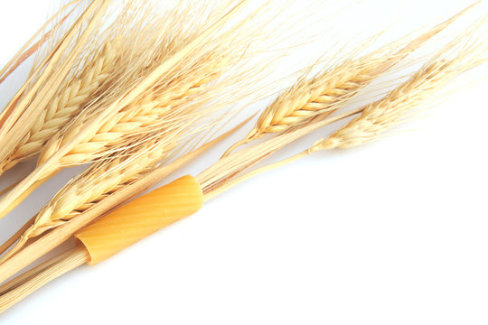 spighe di grano con maccherone