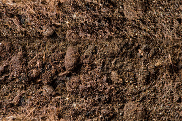 Close up of soil - can be used as background