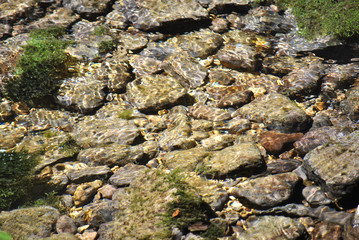 Pietre del letto di un torrente di montagna