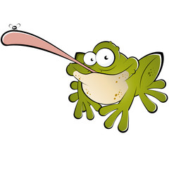 frosch kröte cartoon fliege lustig