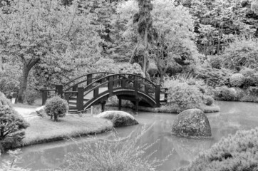 Fototapeta premium Jardin japonais