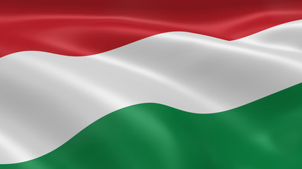 Hungarian flag in the wind