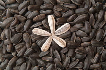 seeds