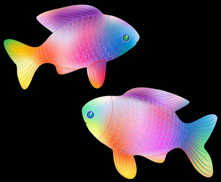 Tropical fishes, vector