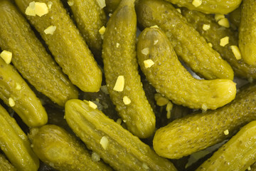 Petite Dill Pickles