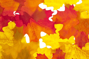 Fototapeta na wymiar Autumn Leaves on White