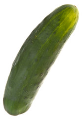 Cucumber