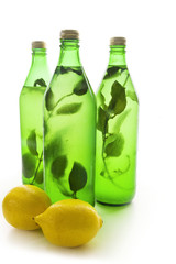 Zitronen-Minze-Limonade