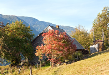 Fototapeta na wymiar autumn mountain view