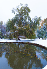 Park and first snow