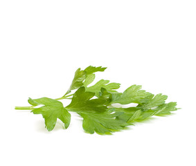 Parsley