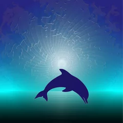 Fototapete Rund Delfin © Andrija Markovic