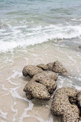 Stone with seashell and wave