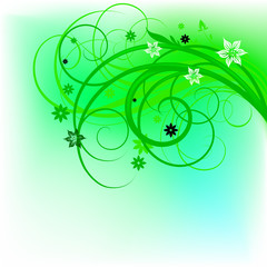 green curl design