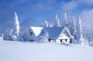 cottage in winter, Orlicke hory, Czech Republic