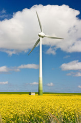 Gelbe Windkraft