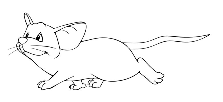 Maus, Ratte, Nagetier, Nager, flink, schnell