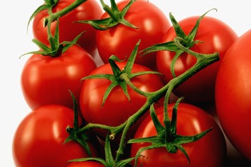 Tomaten