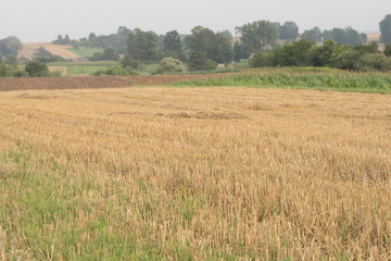 countryside landscape