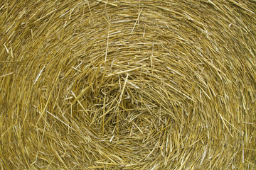 Strohballen
