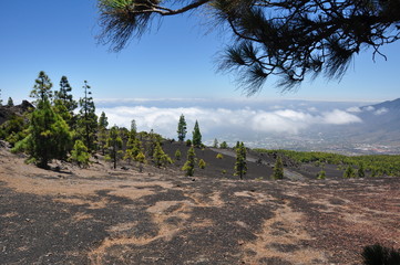 La Palma, Vulkangestein