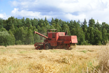 Naklejka premium combine harvester