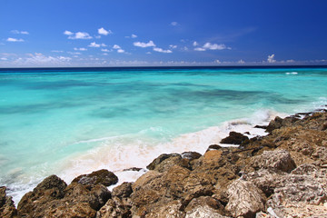 Fototapeta na wymiar Ocean Atlantycki z skalistym wybrzeżu Barbados