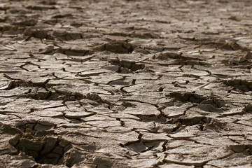 Cracked lifeless soil