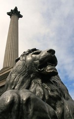Trafalgar Square colonne Nelson - obrazy, fototapety, plakaty