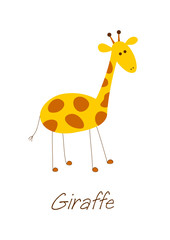 Little giraffe