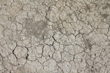 Terre sèche dans les marais salant de l'Île d'Olonne