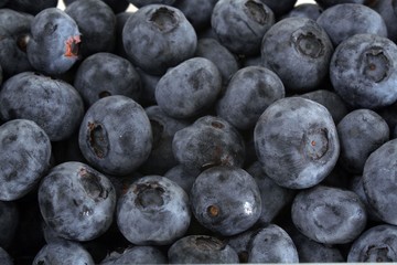Heidelbeeren