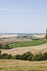 Fototapeta na wymiar Tuscan Landscape