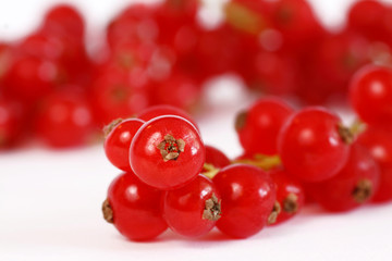 Johannisbeeren